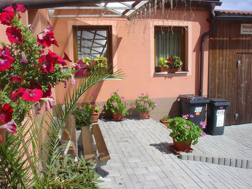Wellness Penzion Palice Jindrichuv Hradec Exterior photo